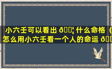 小六壬可以看出 🐦 什么命格（怎么用小六壬看一个人的命运 🐠 ）